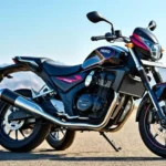 Hero Cruiser 350 Dhakad Bike: Release Alert 2024